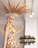 Tribal Headdress - February 2015