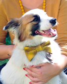 Bella Poochella - July 2014