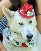 Bella Poochella - July 2014