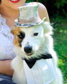 Bella Poochella - July 2014